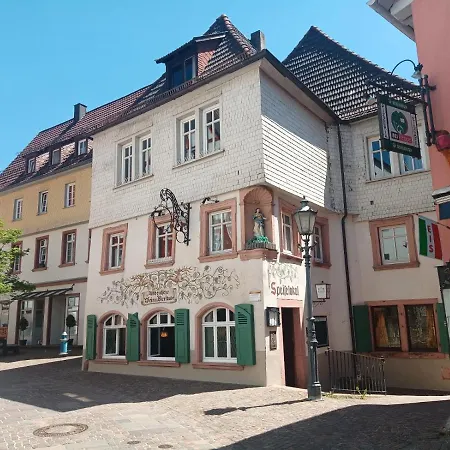 Appartement Schlossberg, Gasthaus Hirsch Hirschhorn Exterior foto